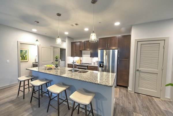 kitchen at The Pointe at Valley Ranch Town Center Apartments