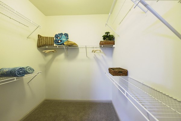 Walk-in closet with built-in shelving at The Views at Harbortown Apartments, luxury storage solutions in Jacksonville
