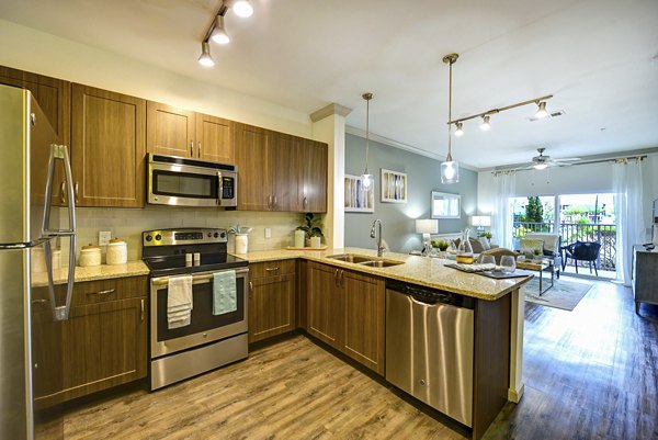 Kitchen with modern appliances and granite countertops at The Views at Harbortown Apartments, offering luxury living in a prime location