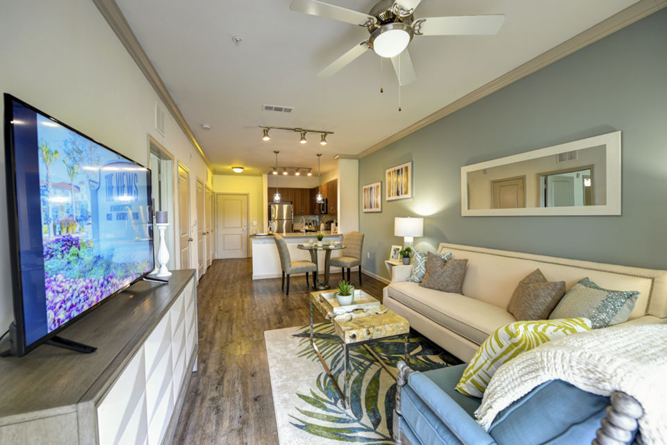 Contemporary living room with harbor views at The Views at Harbortown Apartments, featuring sleek decor and ample natural light