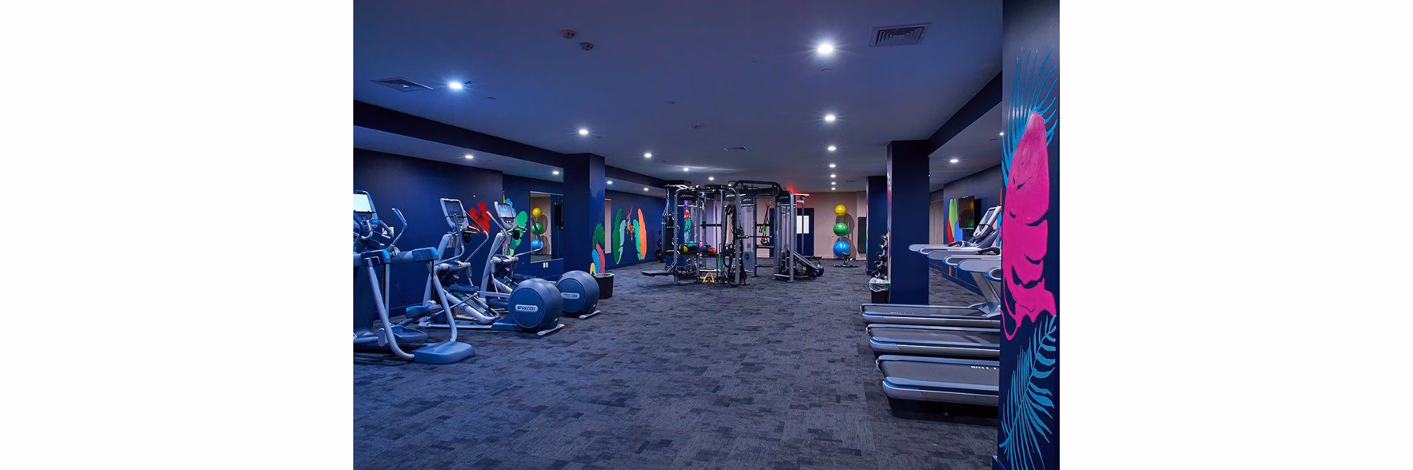 Modern fitness center with state-of-the-art equipment at The Highline Apartments