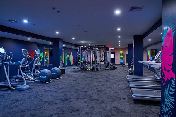 fitness center at The Highline Apartments