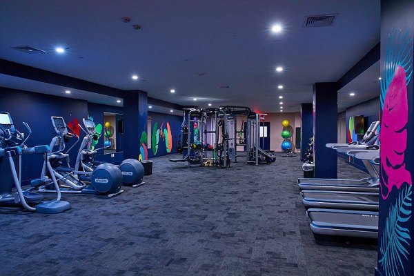 Modern fitness center with state-of-the-art equipment at The Highline Apartments