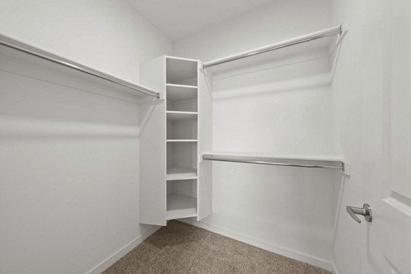 bedroom closet at Solara Vista Apartments