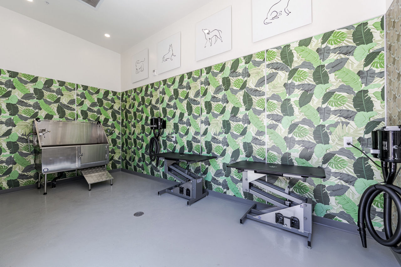 Pet wash at Solara Vista