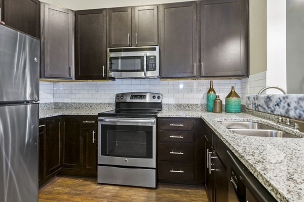 Kitchens featuring modern appliances and quartz countertops in 401 Oberlin Apartments