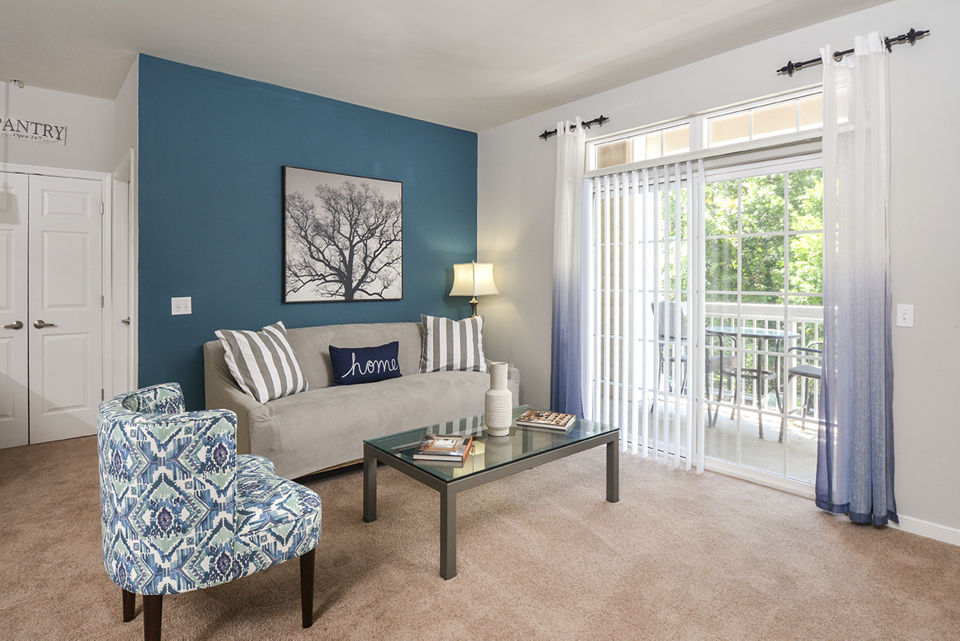 Cozy living room with modern decor in 62 Eleven Apartments