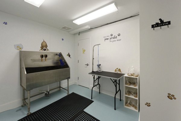 Convenient dog wash station at 62 Eleven Apartments for pet-friendly living