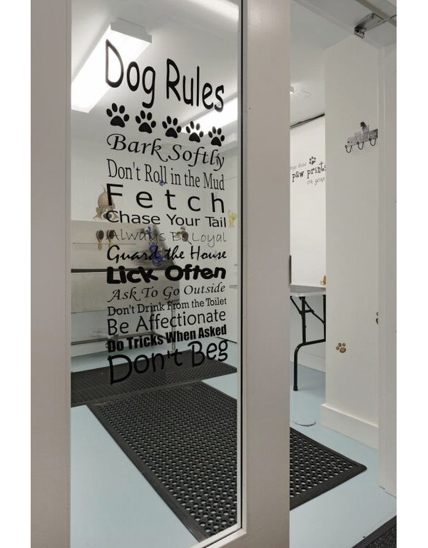 Convenient dog wash station at 62 Eleven Apartments, perfect for pet owners in luxury living