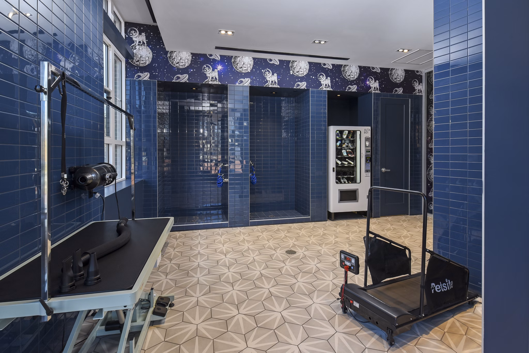 Convenient dog wash station at Alta 801 Apartments, a Greystar community offering luxury living amenities