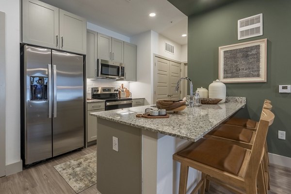 Modern kitchen with stainless steel appliances in Alta Berry Creek Apartments