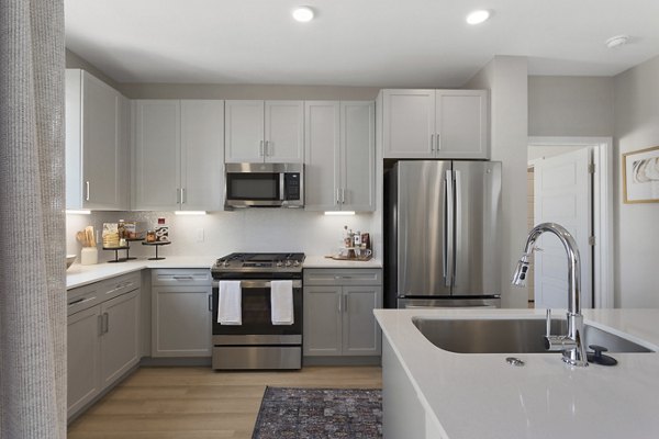 Modern kitchen with gray cabinets and stainless steel appliances in luxury apartment
