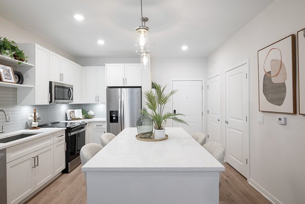 Modern kitchen with stainless steel appliances in Alta Citron Apartments, luxury living space by Greystar