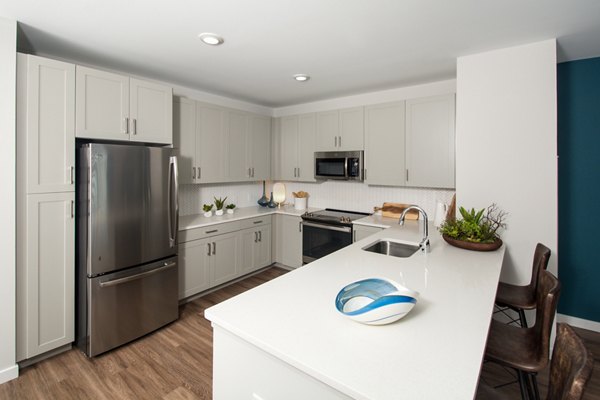 kitchen at Alta Clara at the Fells Apartments