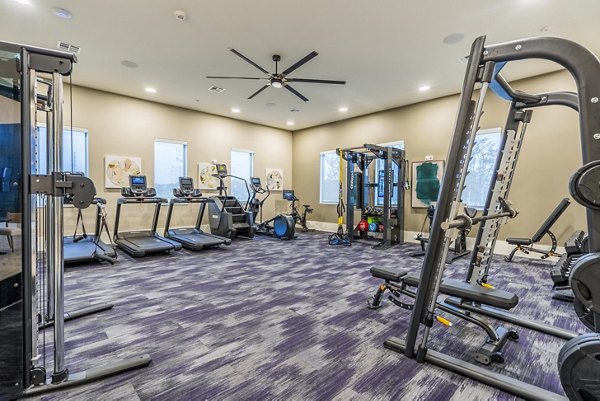 State-of-the-art fitness center with modern equipment at Alta Cypress Springs Apartments