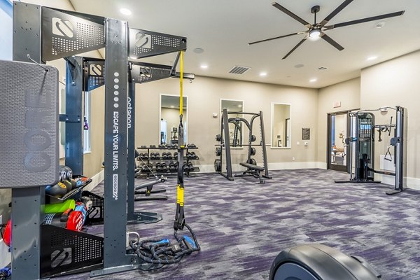 State-of-the-art fitness center with modern equipment at Alta Cypress Springs Apartments