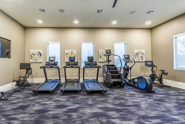 Fitness center with state-of-the-art equipment at Alta Cypress Springs Apartments, offering modern workout spaces for residents