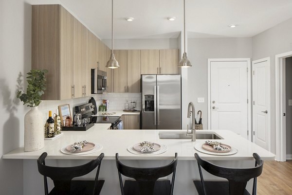 Modern kitchen featuring stainless steel appliances and sleek countertops in Alta Davis Apartments luxury residences
