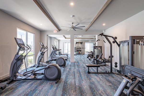 State-of-the-art fitness center with modern equipment at Alta Deco Apartments