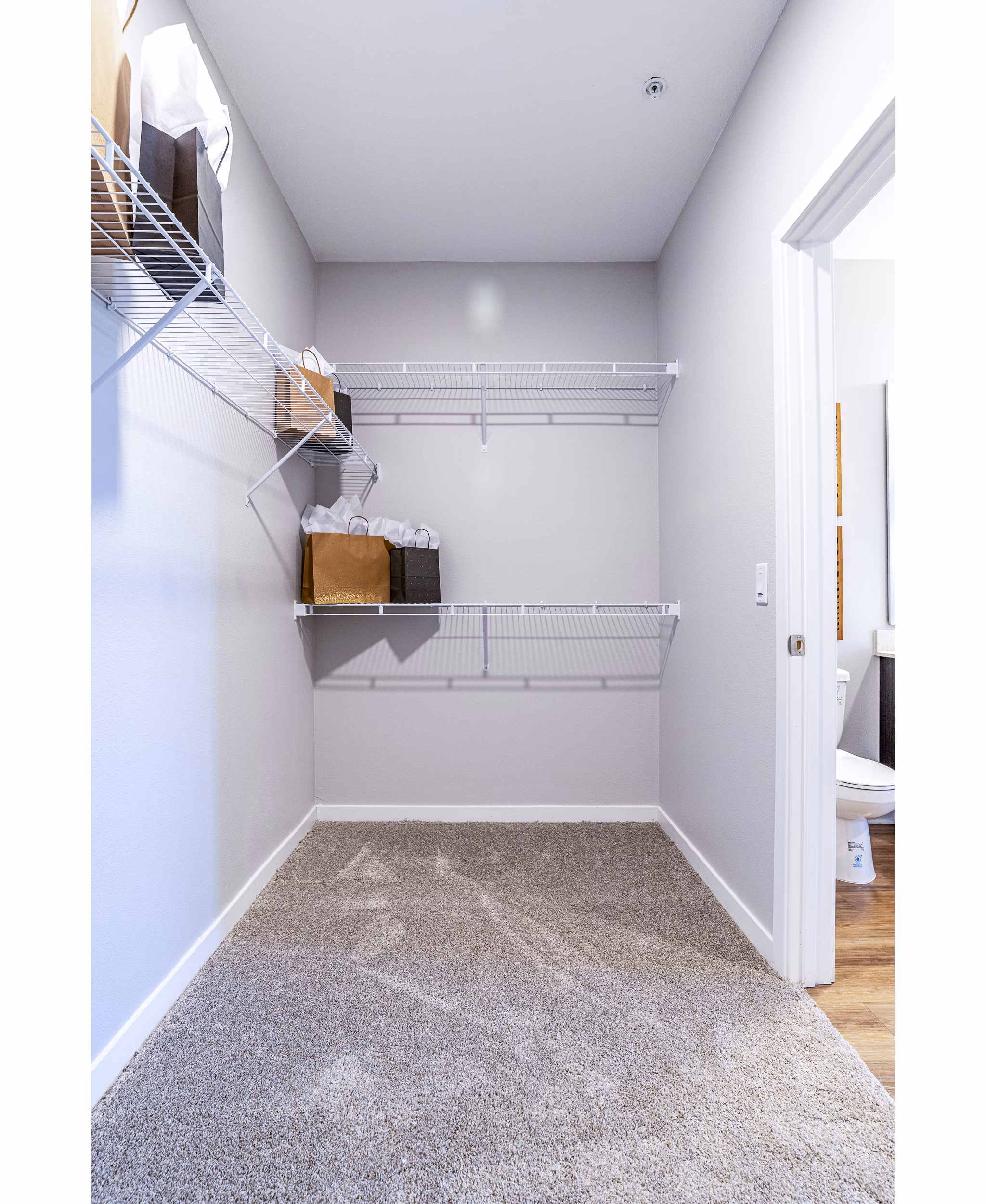 Walk-in bedroom closet with ample shelving at Alta Longwood Apartments