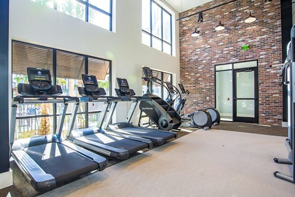 State-of-the-art fitness center with modern equipment at Alta Longwood Apartments, offering luxury living amenities