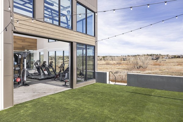fitness center at Alta Piney Creek Apartments