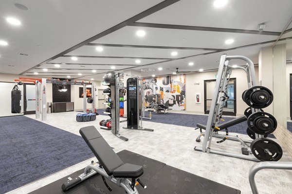 State-of-the-art fitness center featuring modern equipment at Alta River Oaks Apartments