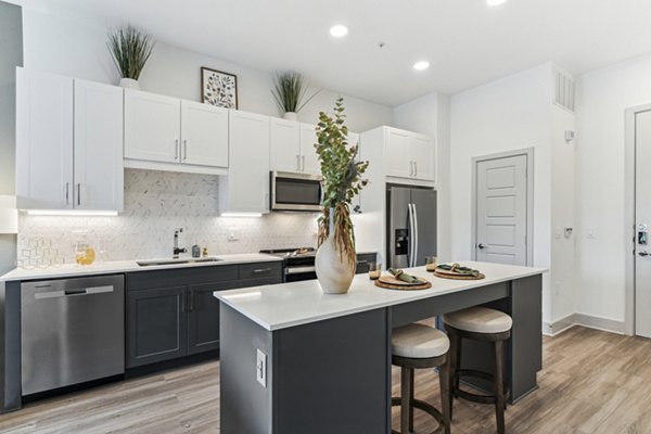 kitchen at Alta Riverside Apartments 