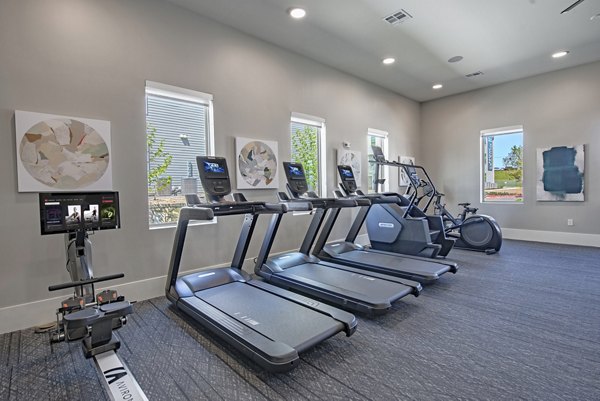 Modern fitness center with state-of-the-art equipment at Alta Rolling Oaks luxury apartments