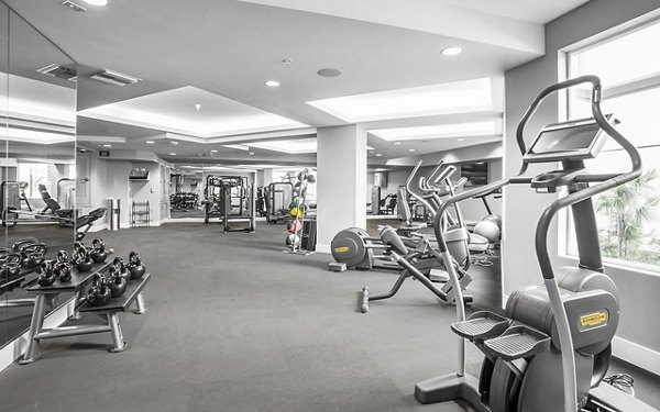 Modern fitness center at Alta South Bay Apartments with state-of-the-art equipment, ideal for luxury living and active lifestyles