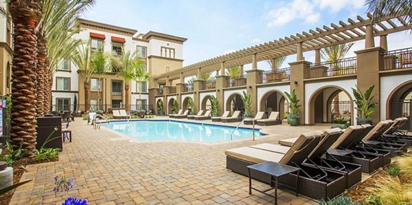 Infinity pool with sun lounging area at Alta South Bay Apartments, providing a luxury oasis for residents to relax and unwind
