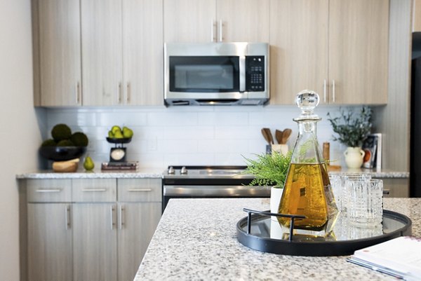 Modern kitchen with stainless steel appliances at Alta Town Center Apartments