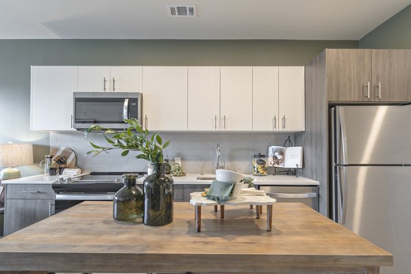 Modern kitchen with stainless steel appliances at Alta University Place Apartments, luxury living by Greystar