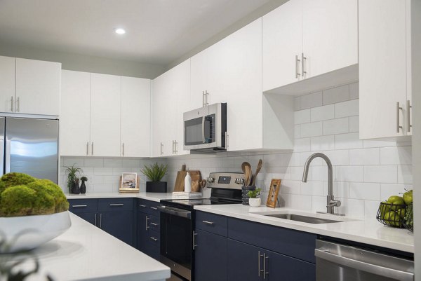 kitchen at Alta Ivy Apartments