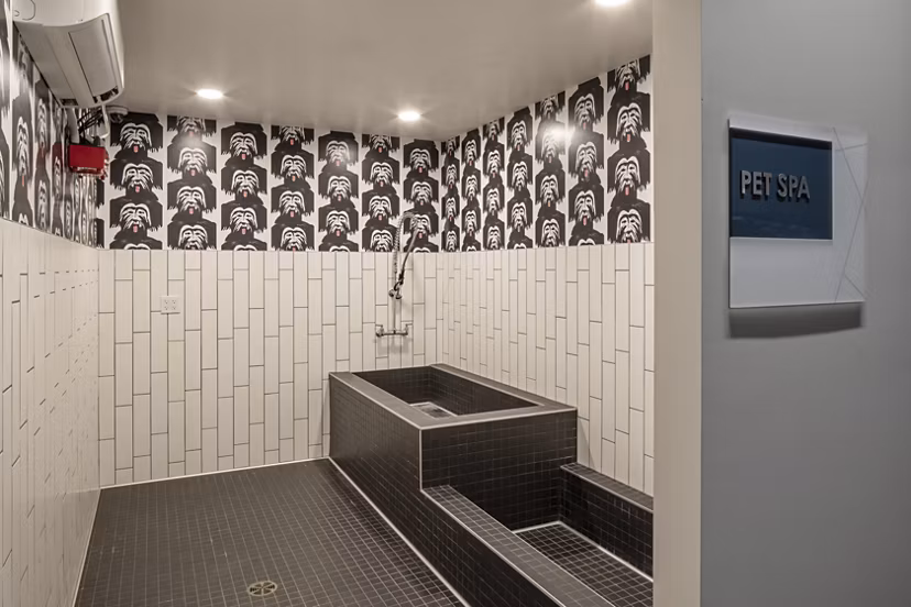 Modern bathroom with sleek fixtures at Lantana at Milpitas Station luxury apartments