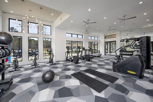 State-of-the-art fitness center with modern equipment at The Lights at Northwinds Apartments