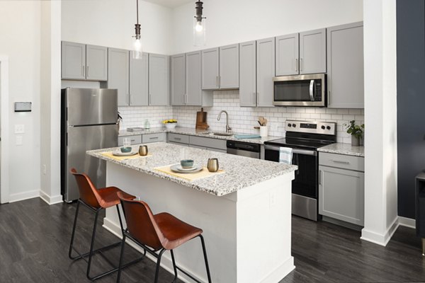 Kitchen featuring sleek countertops and stainless steel appliances in The Lowery Apartments Luxury living tailored for modern lifestyles
