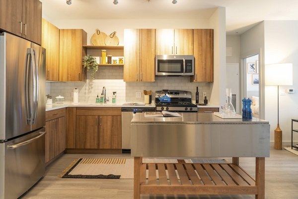 Kitchen featuring modern appliances and sleek countertops at The Madison at Marshfield apartments luxury collection