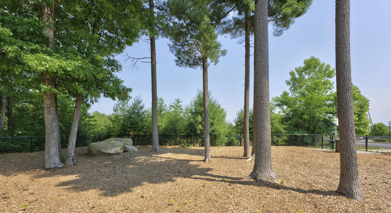 Dog park at The Madison At Marshfield