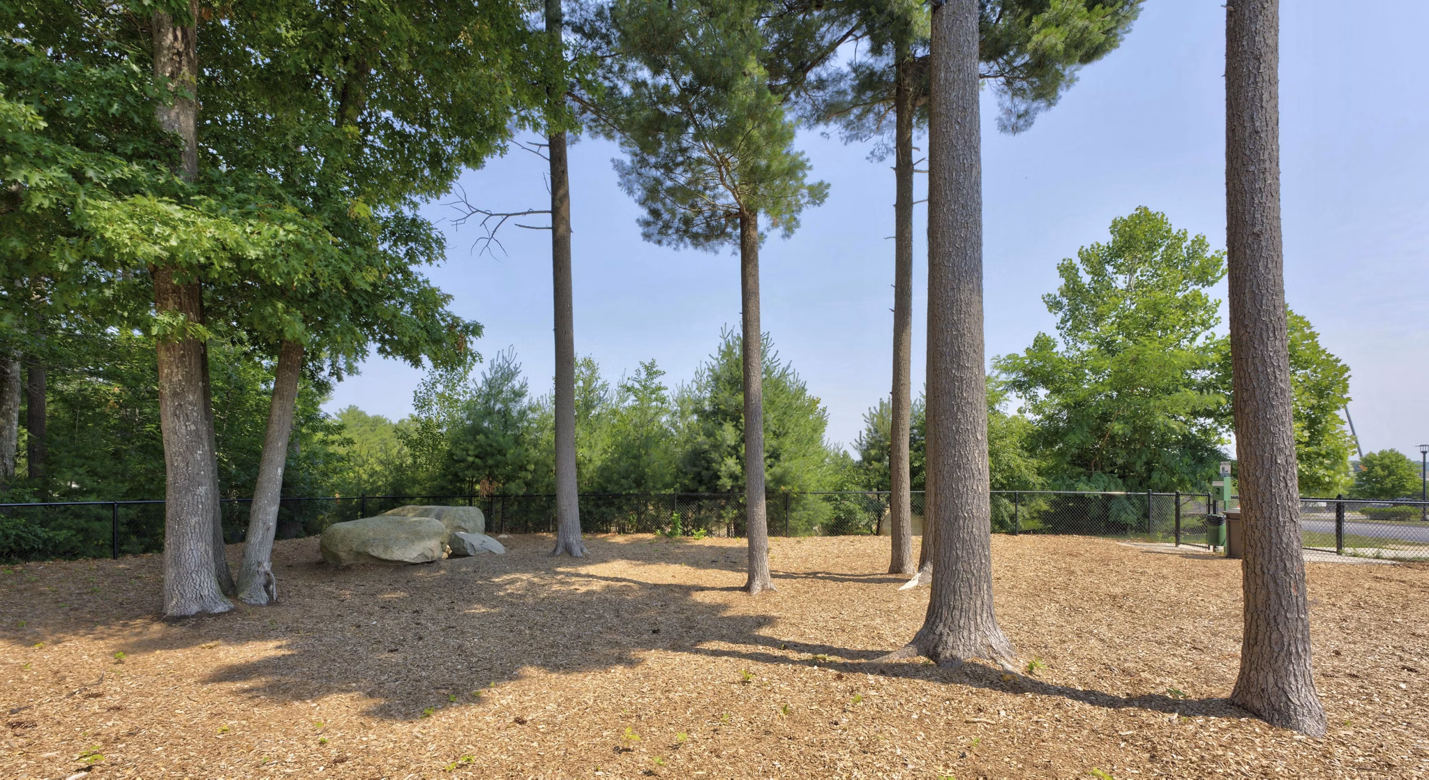 recreational area at The Madison at Marshfield Apartments