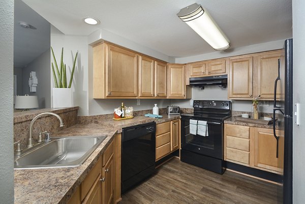 Modern kitchen with stainless steel appliances in Orchard Park Apartments
