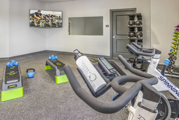 fitness center at Osprey At Lake Norman Apartments