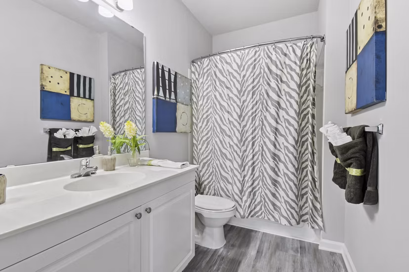 bathroom at The Park at Walnut Ridge Apartments
