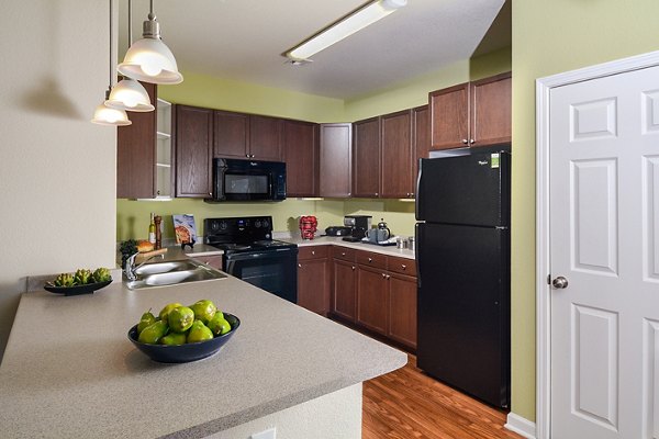 Modern kitchen with stainless steel appliances and granite countertops in The Park at Walnut Ridge Apartments