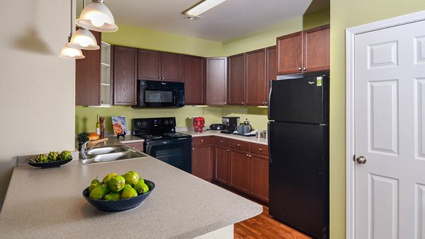 Modern kitchen with stainless steel appliances at The Park at Walnut Ridge Apartments