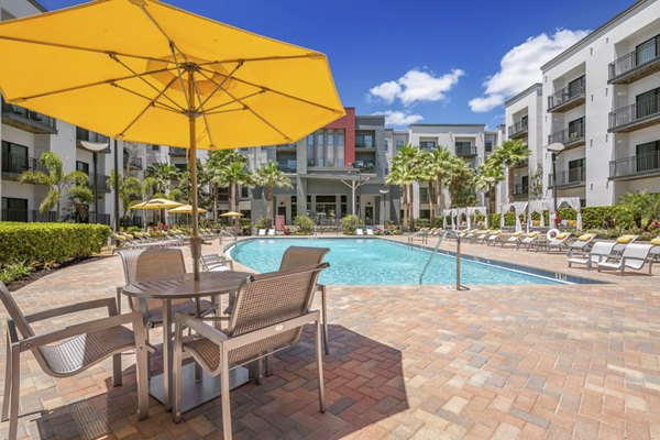 Resort-style swimming pool at Solara Apartments with lounge chairs and landscaped surroundings