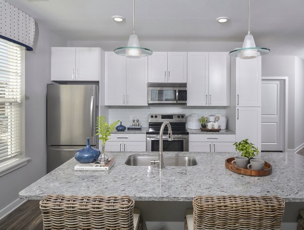 Modern kitchen featuring stainless steel appliances and granite countertops at The Wexley at 100 Apartments, Greystar luxury apartments