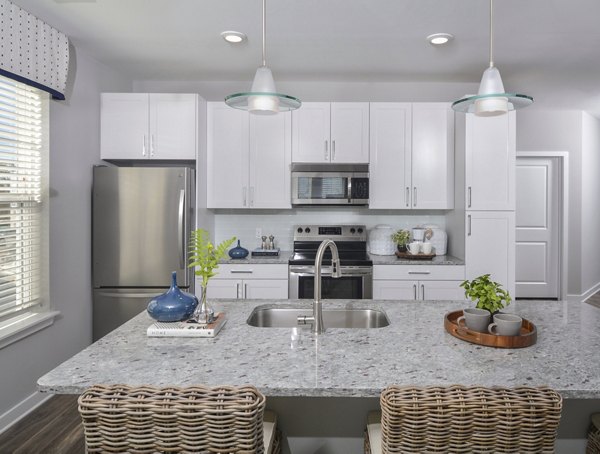 Kitchen at The Wexley at 100 Apartments