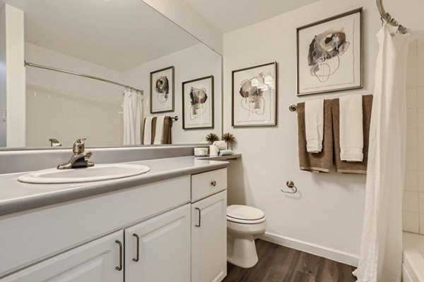 Modern bathroom with elegant fixtures at Avantus Apartments in luxury community
