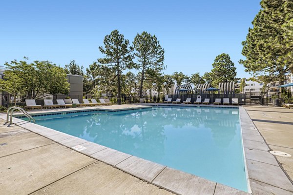 Luxurious poolside retreat at Avantus Apartments featuring lounge chairs and city views Ideal for relaxation at Greystar luxury apartments